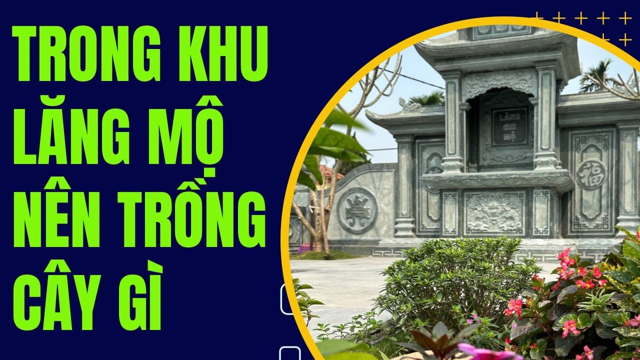 lang mo da dep can bo tri canh quan trong cay hop ly