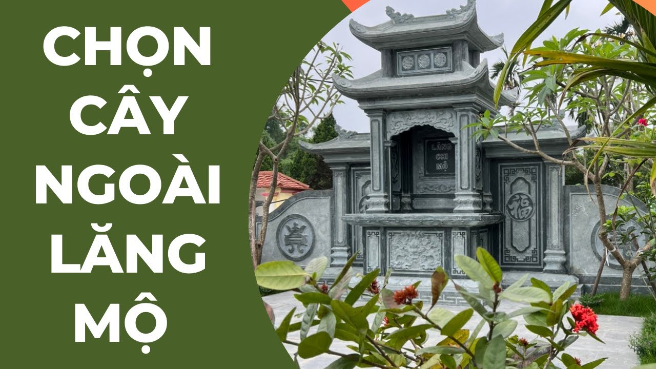 mo da dep phai co cay xanh hop ly