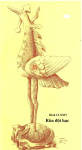 Chim Phượng cưỡi rùa