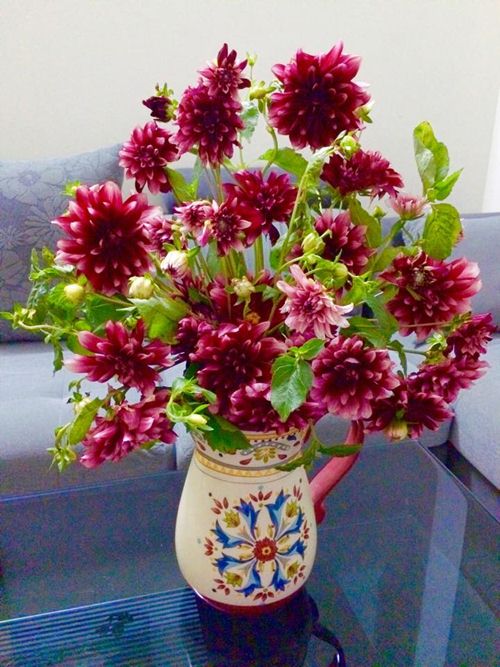 Thược dược còn biểu trưng cho sự chung thủy, trường tồn của tình yêu.