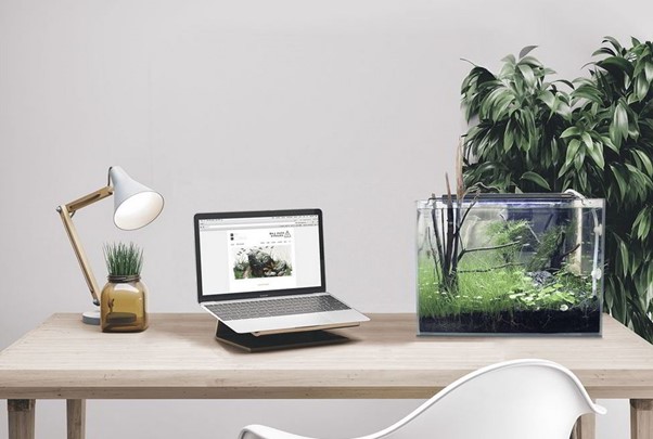 Bể cá Mini để bàn làm việc Phong thủy tốt